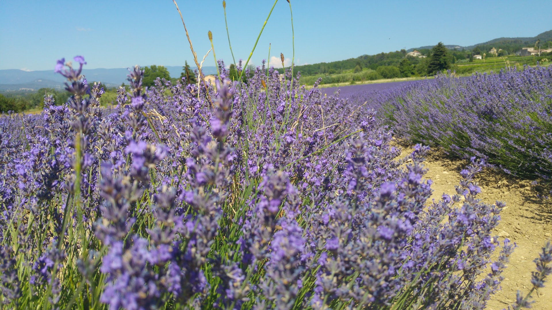 Aude Clément — photo 3